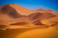 59. Sossusvlei