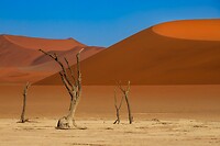 61. Deadvlei
