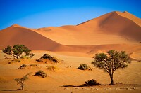 63. Sossusvlei