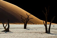 64. Deadvlei