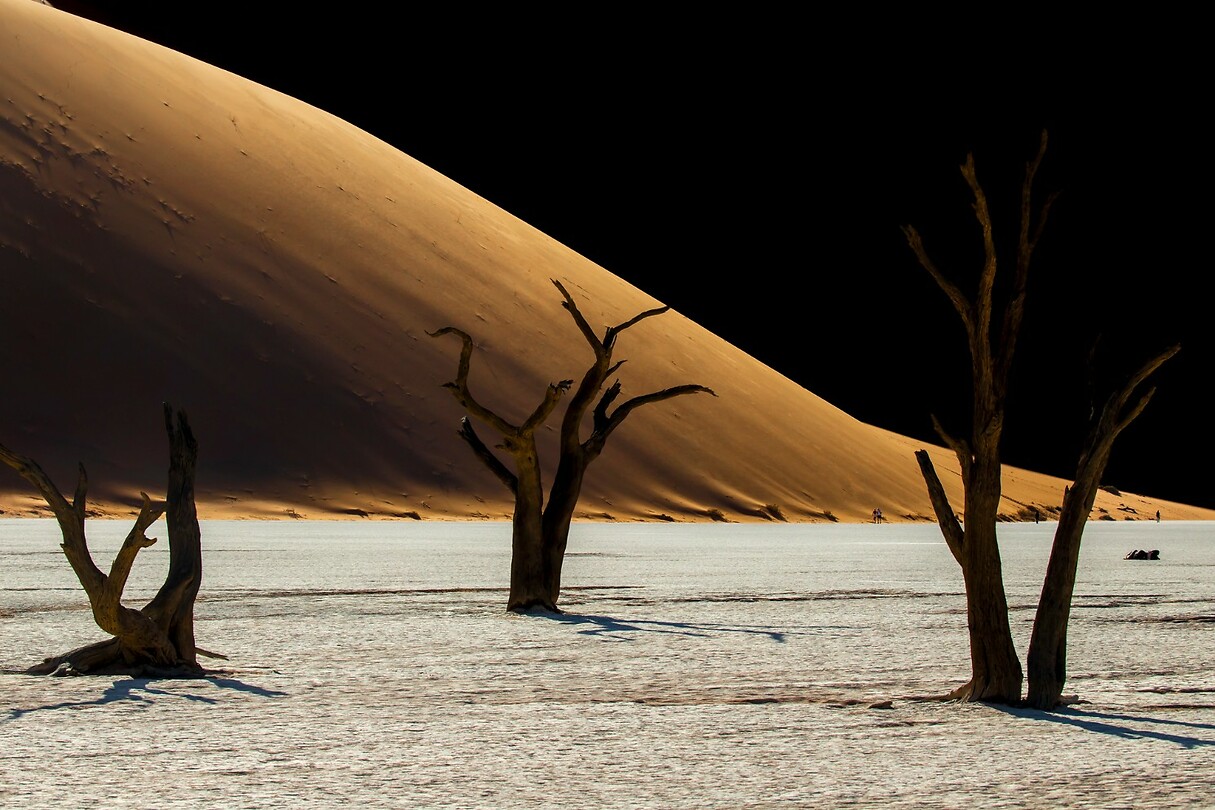64. Deadvlei