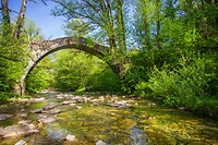 43.Stenen brug