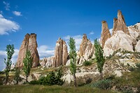 21. Rose valley