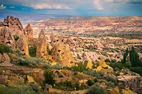 35. Pigeon valley