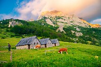 20. Sutjeska NP