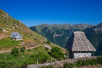 29.  Lukomir