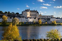 16. Chateau d'Ambose