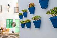 8. Frigiliana