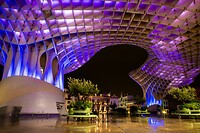 19. Setas de Sevilla
