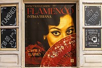 35. Flamenco