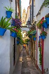 49. Calle de Flores
