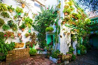 50. Patio