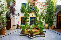 55. Patio