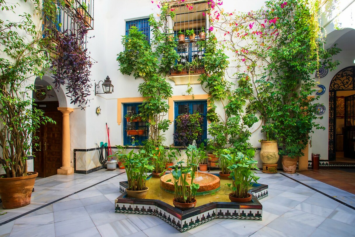 55. Patio