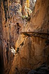 81. Caminito del Rey