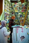28. Meknes