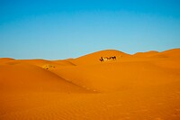 40. Erg Chebbi