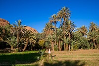 46. Todra kloof