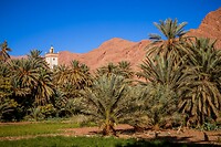 48. Todra kloof