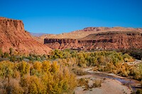 60. Rose Valley