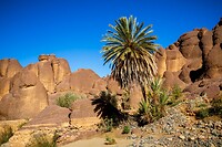 14. Tislit kloof