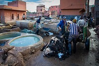 59. Marrakech