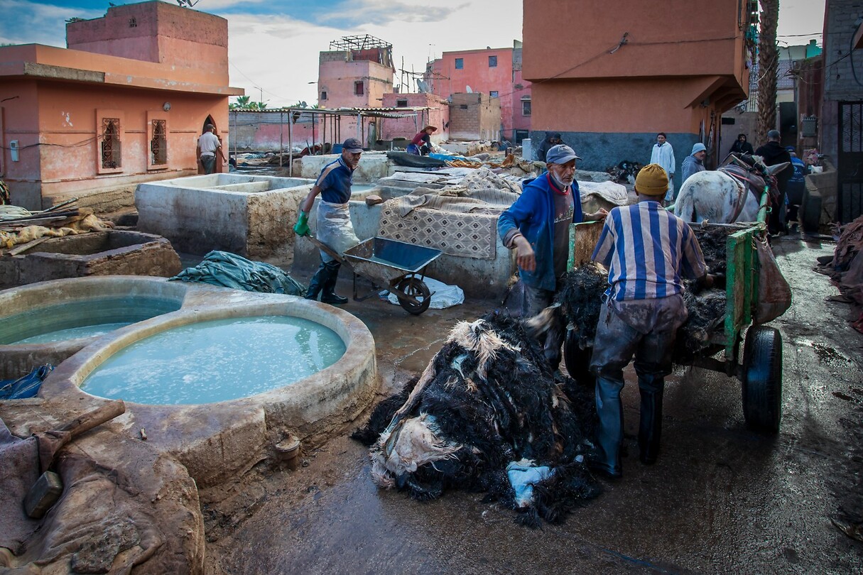 59. Marrakech