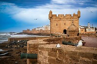 79. Essaouira
