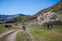 19. Rijden in Georgië