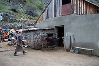 23. Homestay