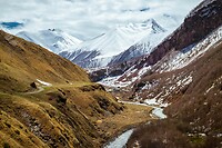 75. Truso vallei