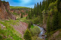 47. Turgen gorge