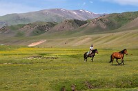 49. Assey plateau