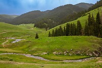 50. Assey plateau