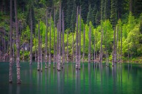63. Kaindy lake