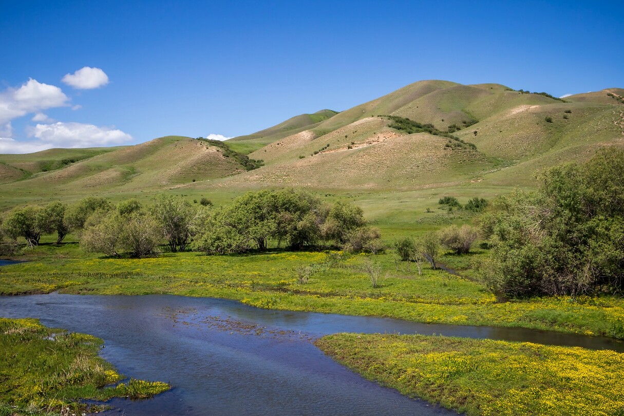 65. Saty gorge