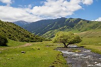 67. Saty gorge