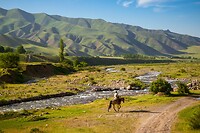 11. Kegeti