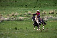 29. Te paard