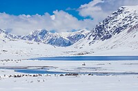35. Arabel plateau