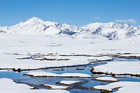37. Arabel plateau