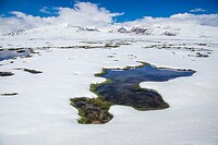41. Arabel plateau