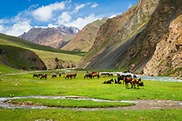 65. Sary Jaz vallei