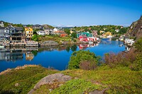 1. Quidi Vidi