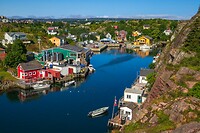 2. Quidi Vidi