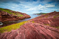 20. Tickle Cove