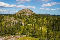 33. Terra Nova N.P.