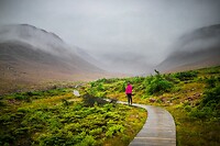 65. Gros Morne N.P.