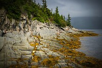 68. Norris Point