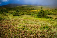 69. Gros Morne N.P.